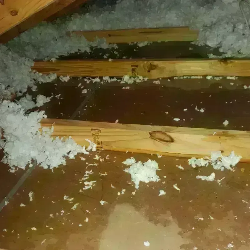 Attic Water Damage in Christian County, IL