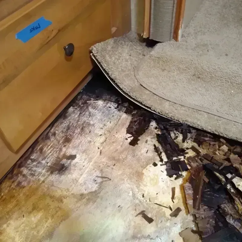 Best Wood Floor Water Damage Service in Christian County, IL